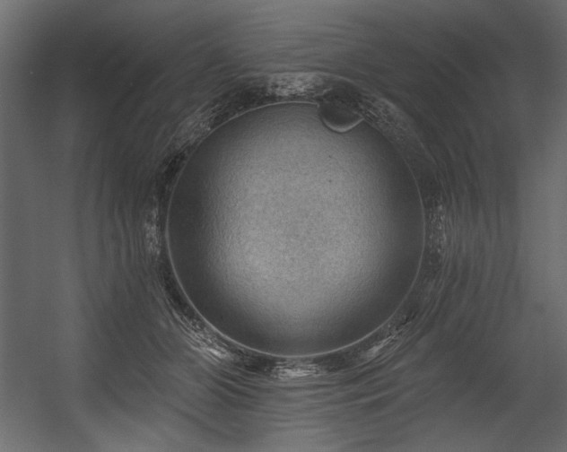 X0000054400510200508011326