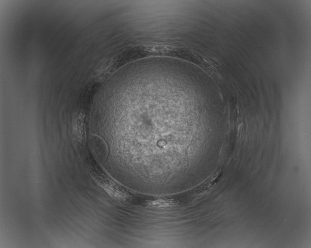 X0000054400511200508011326