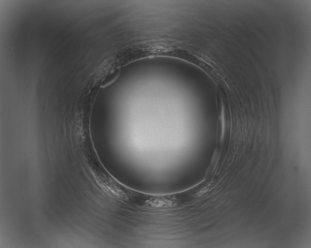 X0000054400512200508011326