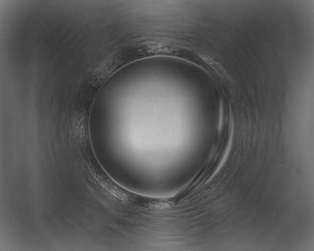 X0000054400513200508011326