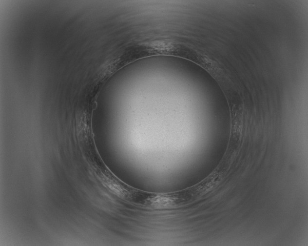 X0000054400518200508011326