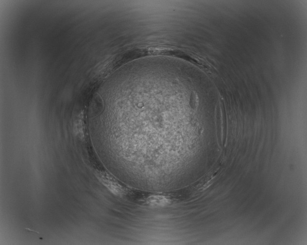 X0000054400519200508011326