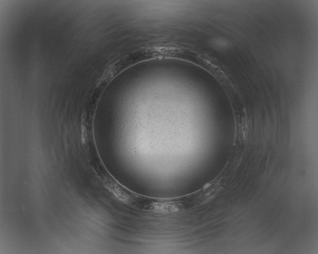 X0000054400520200508011326