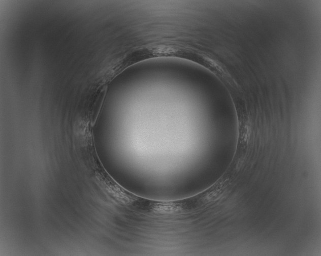 X0000054400521200508011326