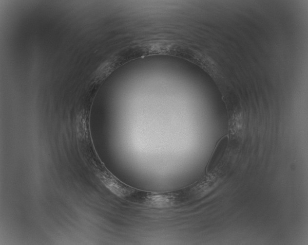 X0000054400522200508011326