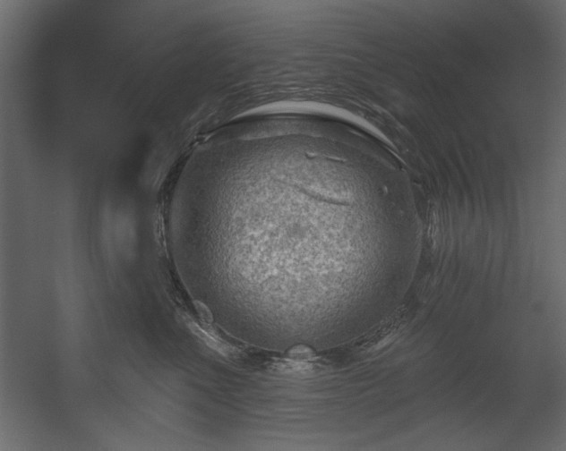 X0000054400523200508011326