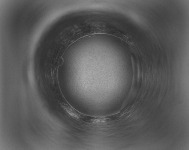 X0000054400524200508011326