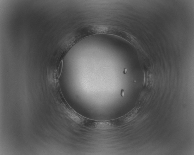 X0000054400525200508011326