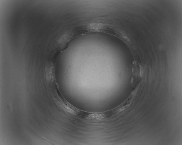 X0000054400526200508011326