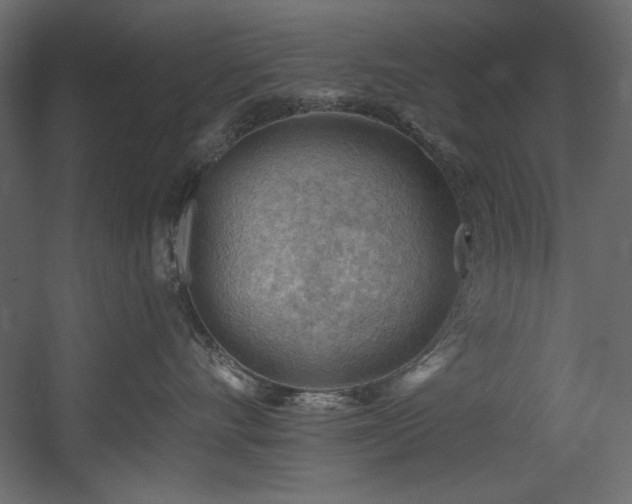 X0000054400528200508011326