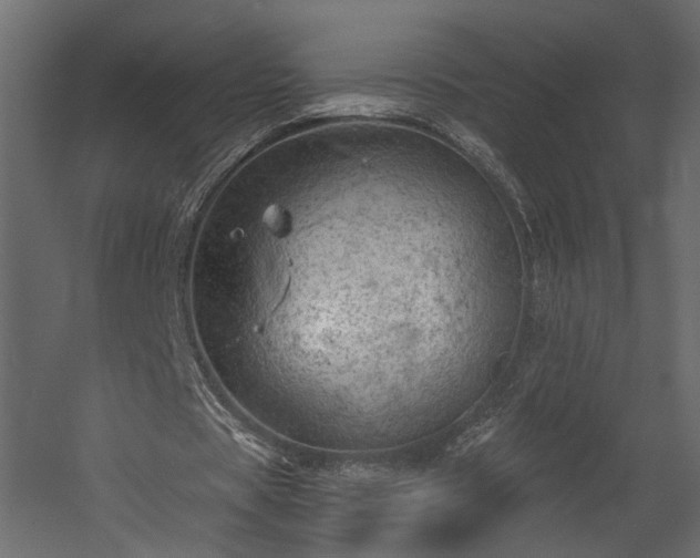 X0000054400529200508011325