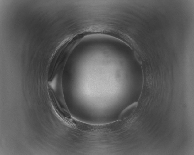 X0000054400530200508011325