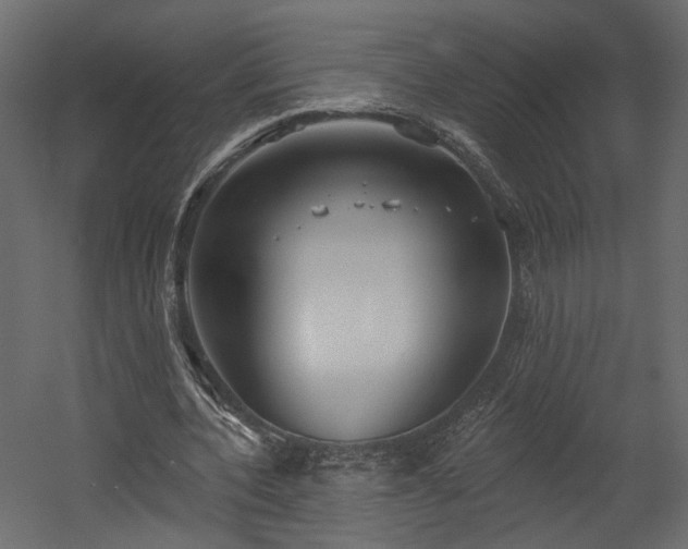 X0000054400532200508011325