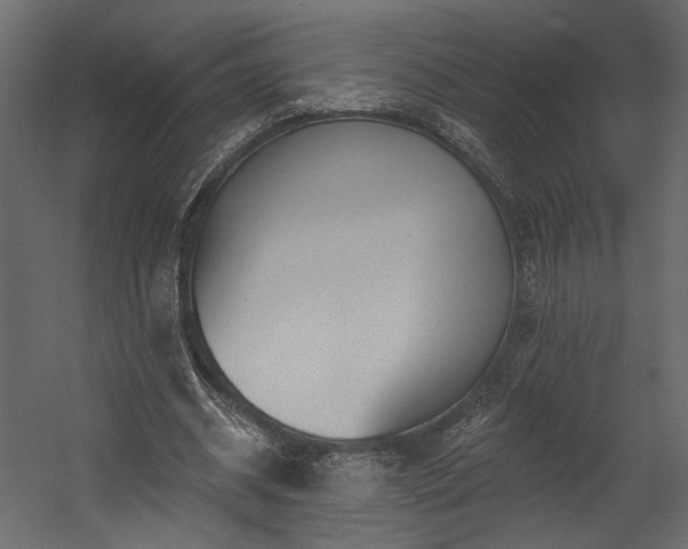 X0000054400534200508011325