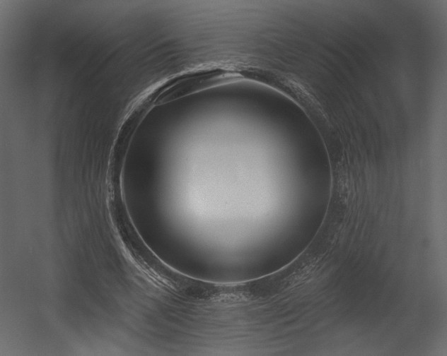 X0000054400536200508011325