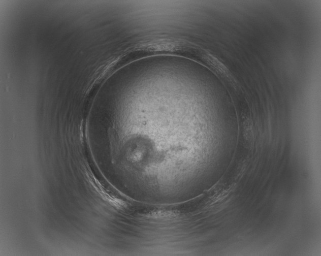 X0000054400537200508011325