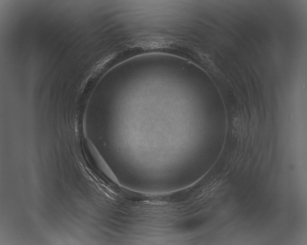 X0000054400539200508011325