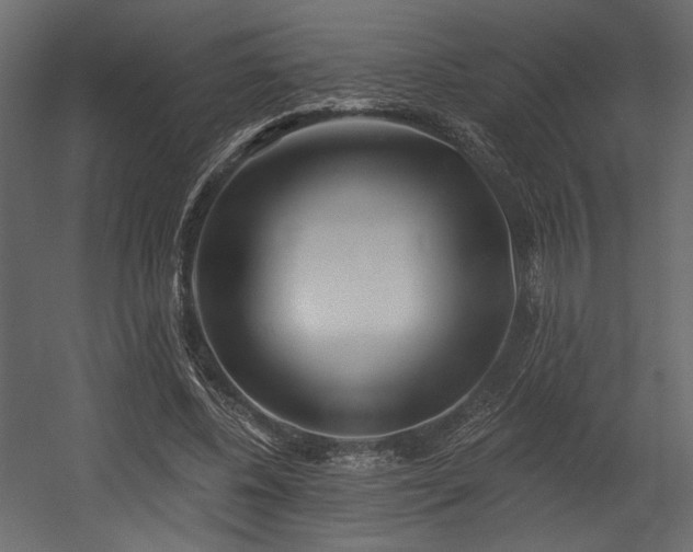 X0000054400540200508011325