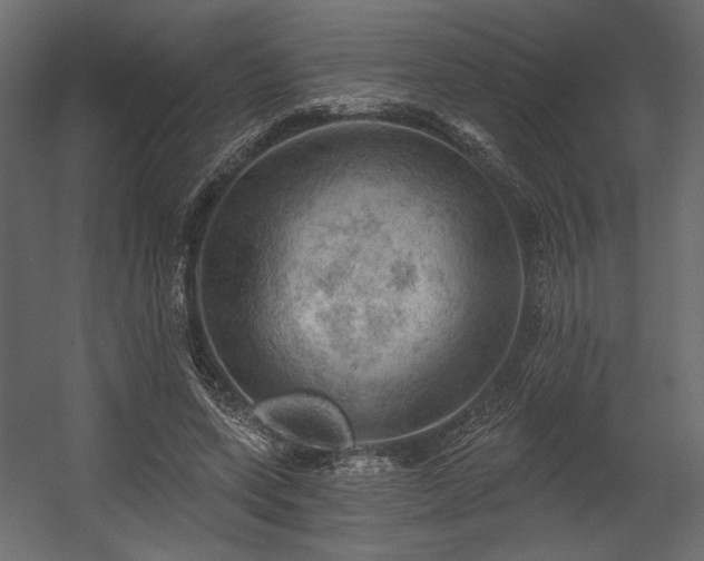 X0000054400543200508011325