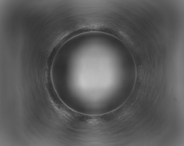 X0000054400544200508011325