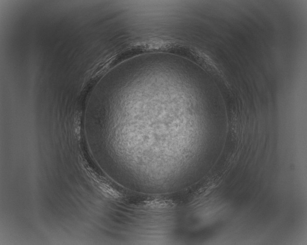 X0000054400545200508011325