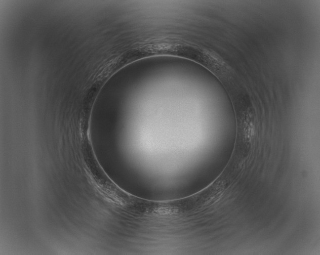 X0000054400546200508011325