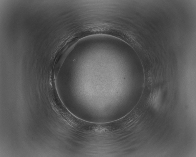 X0000054400547200508011325