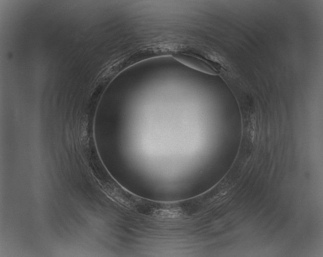 X0000054400548200508011325