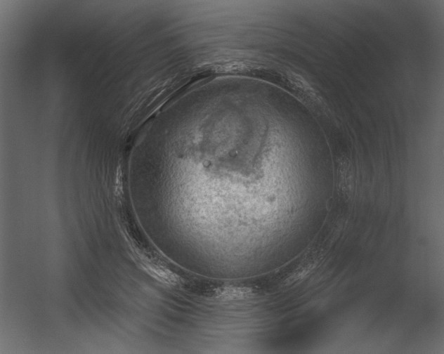 X0000054400549200508011325