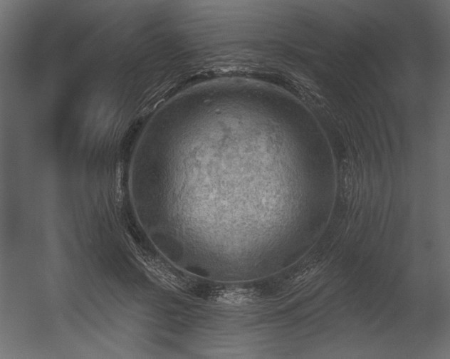 X0000054400550200508011325