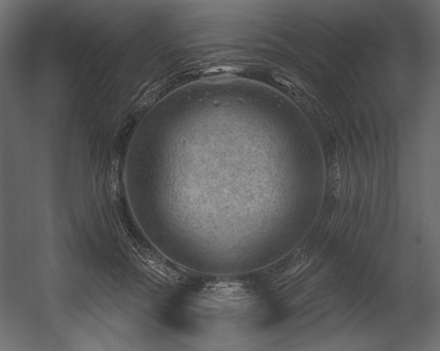 X0000054400554200508011325