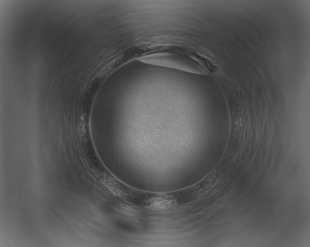 X0000054400555200508011325