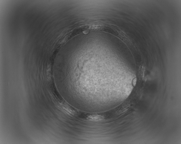 X0000054400557200508011325