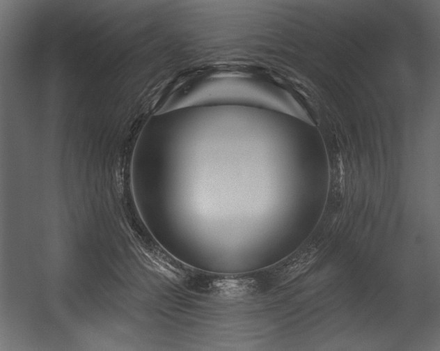 X0000054400558200508011325