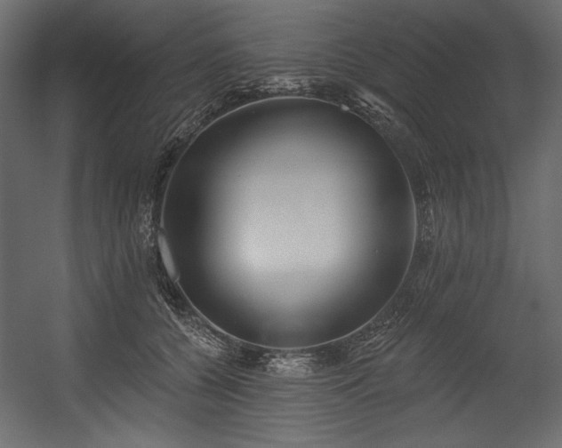 X0000054400560200508011325