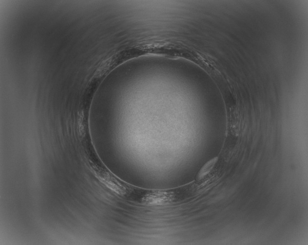 X0000054400563200508011325