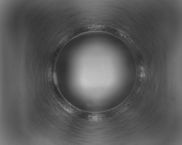 X0000054400564200508011325