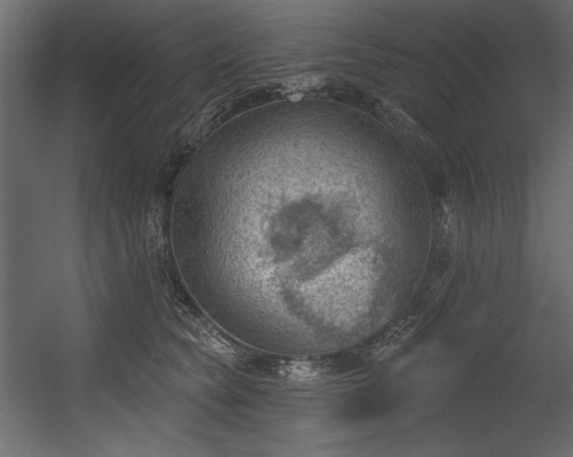 X0000054400565200508011325