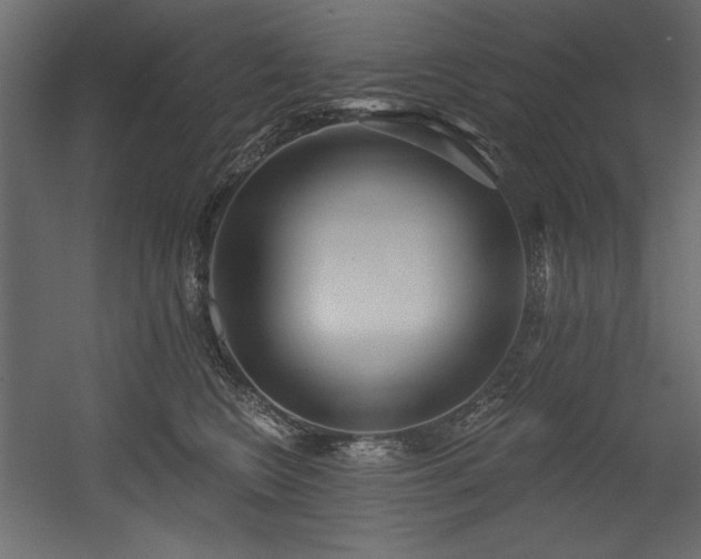 X0000054400566200508011325