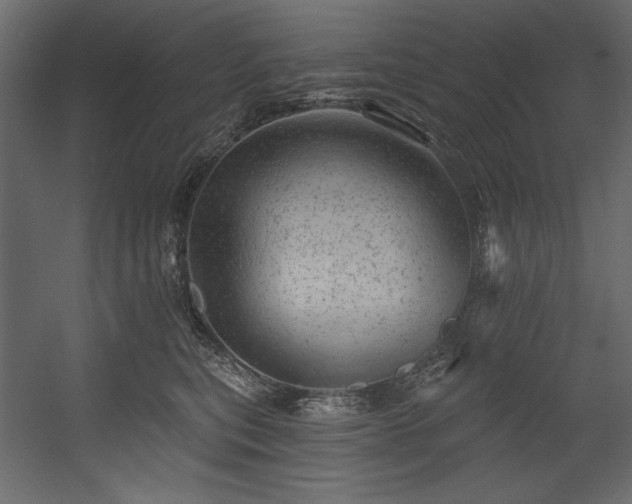 X0000054400567200508011325