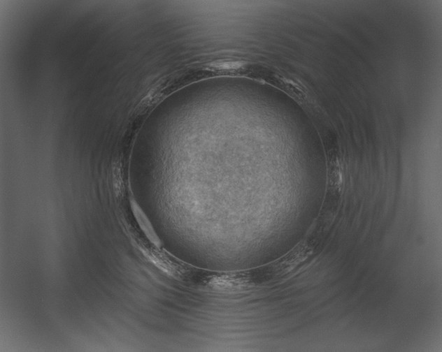 X0000054400568200508011325