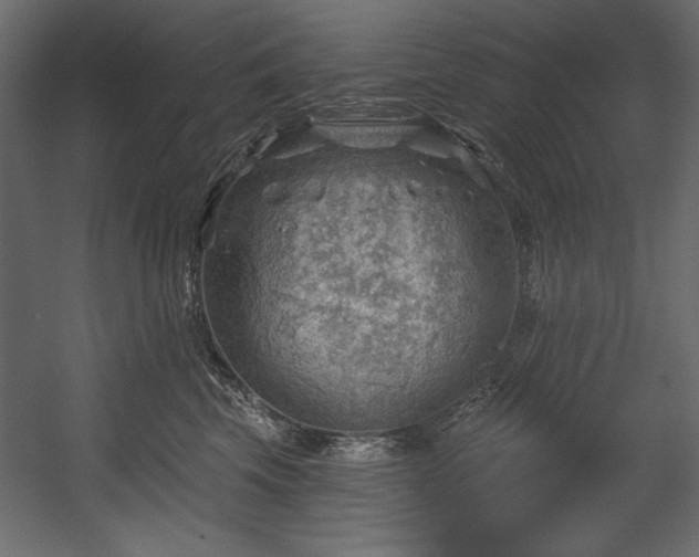 X0000054400569200508011325