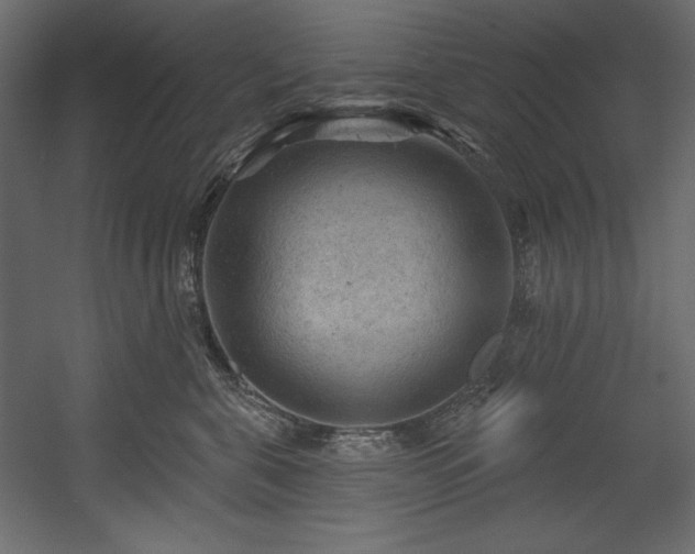 X0000054400571200508011325