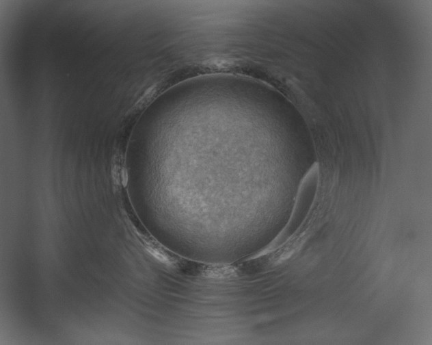 X0000054400576200508011326