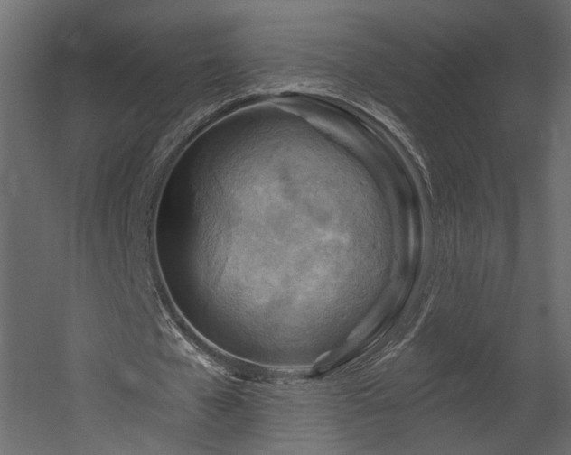 X0000054400577200508011325