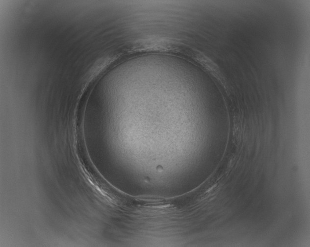 X0000054400578200508011325