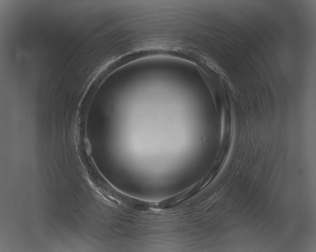 X0000054400580200508011325