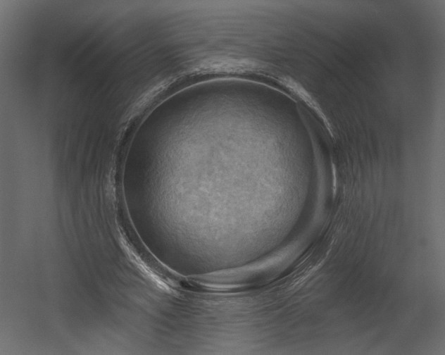 X0000054400581200508011325