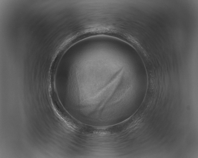 X0000054400582200508011325