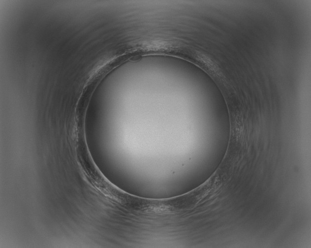 X0000054400583200508011325